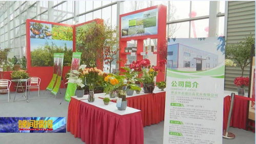 最美的花,開在脫貧攻堅(jiān)增收的路上