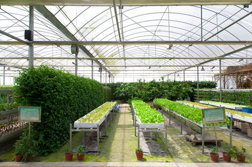 紫菜蛋花湯 中式簡(jiǎn)約之味