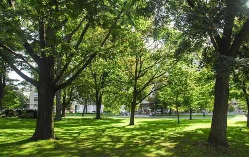 “十三五”時期我國園林綠化施工行業前景展望與分析報告